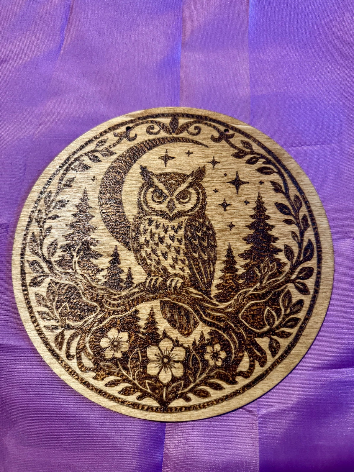 Owl Under the Crescent Moon Plaque woodburning plaque